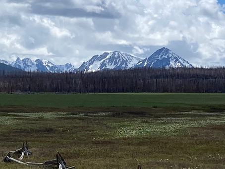 The Sawtooth Mountains.