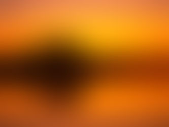 卡多湖(Caddo Lake)之旅