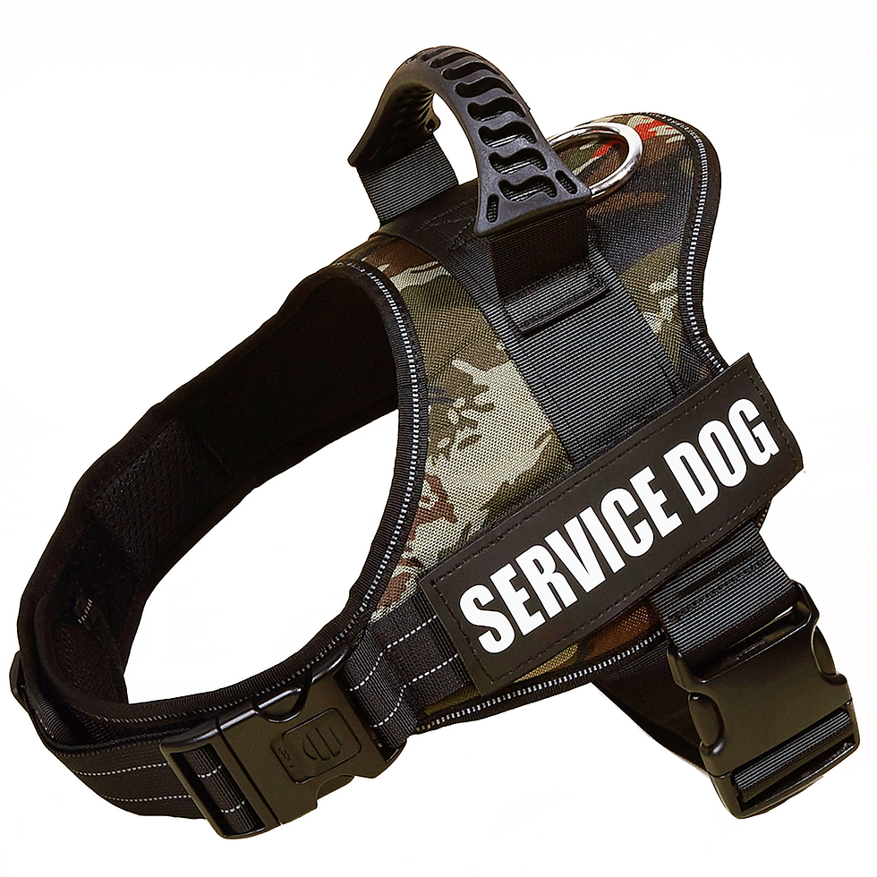 Thumbnail: Large Dog Chest Harness with Collars and Lead Rope