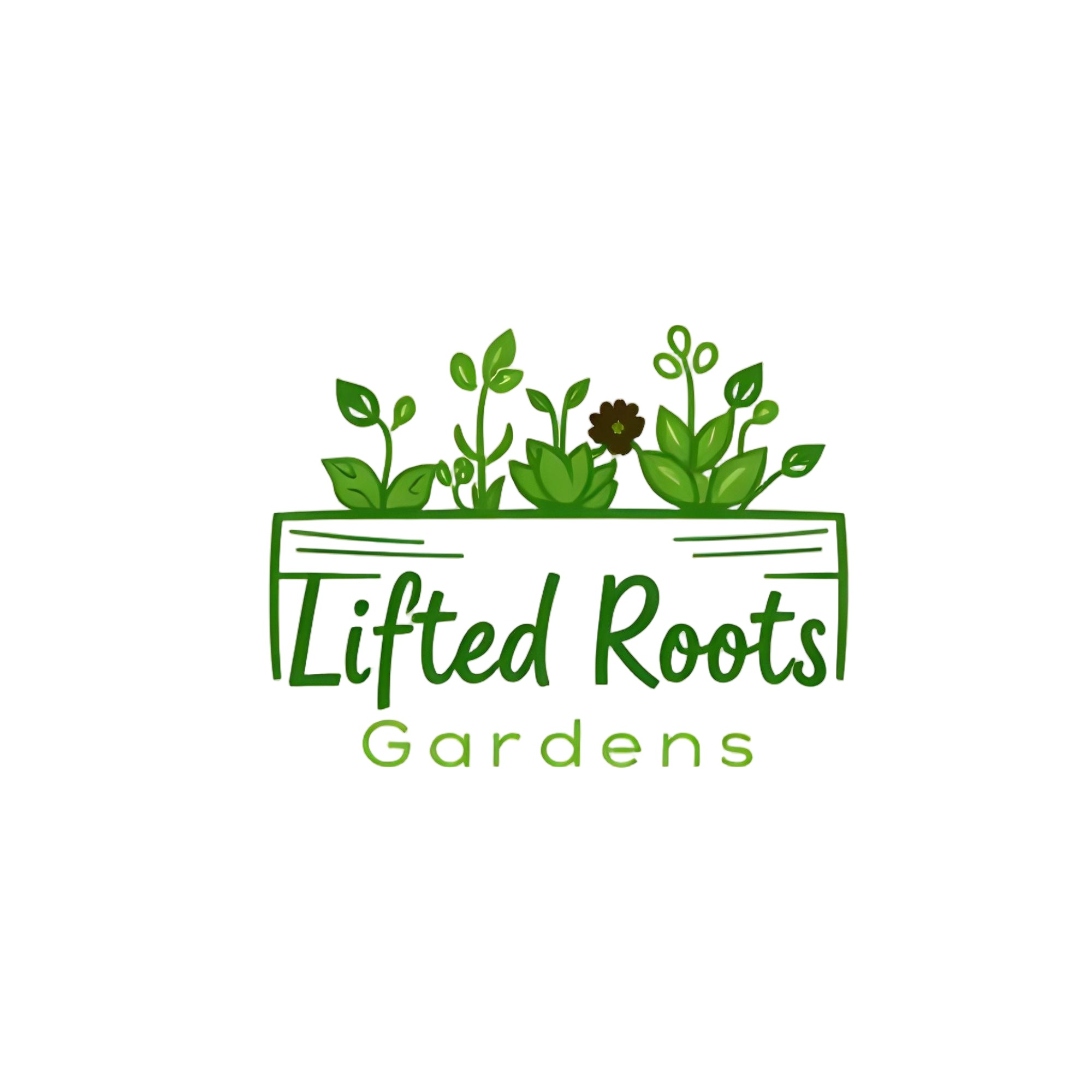 Writer: Lifted Roots Gardens