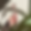 Thumbnail: Walnut Spoon