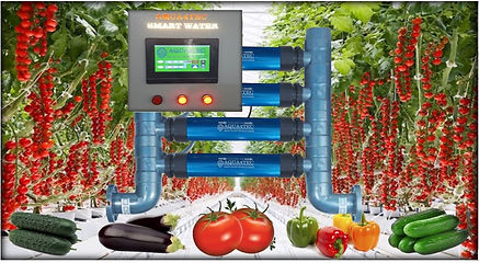 atesholding irrigation water treatments