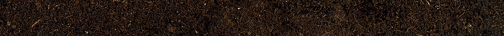 Dirt-Footer.png