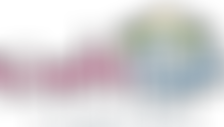 North Port: Introduction