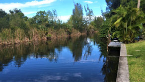 Cape Coral: 7 Things To Do on Freshwater Canal Lots