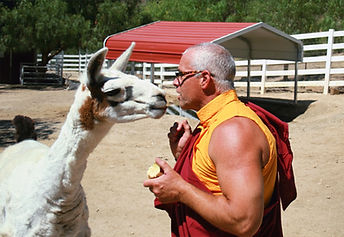 Nate llama 3_edited.jpg