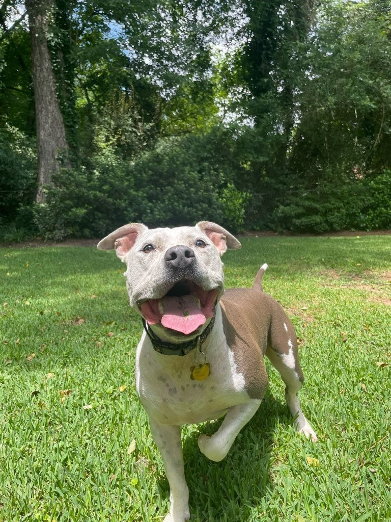 hudson