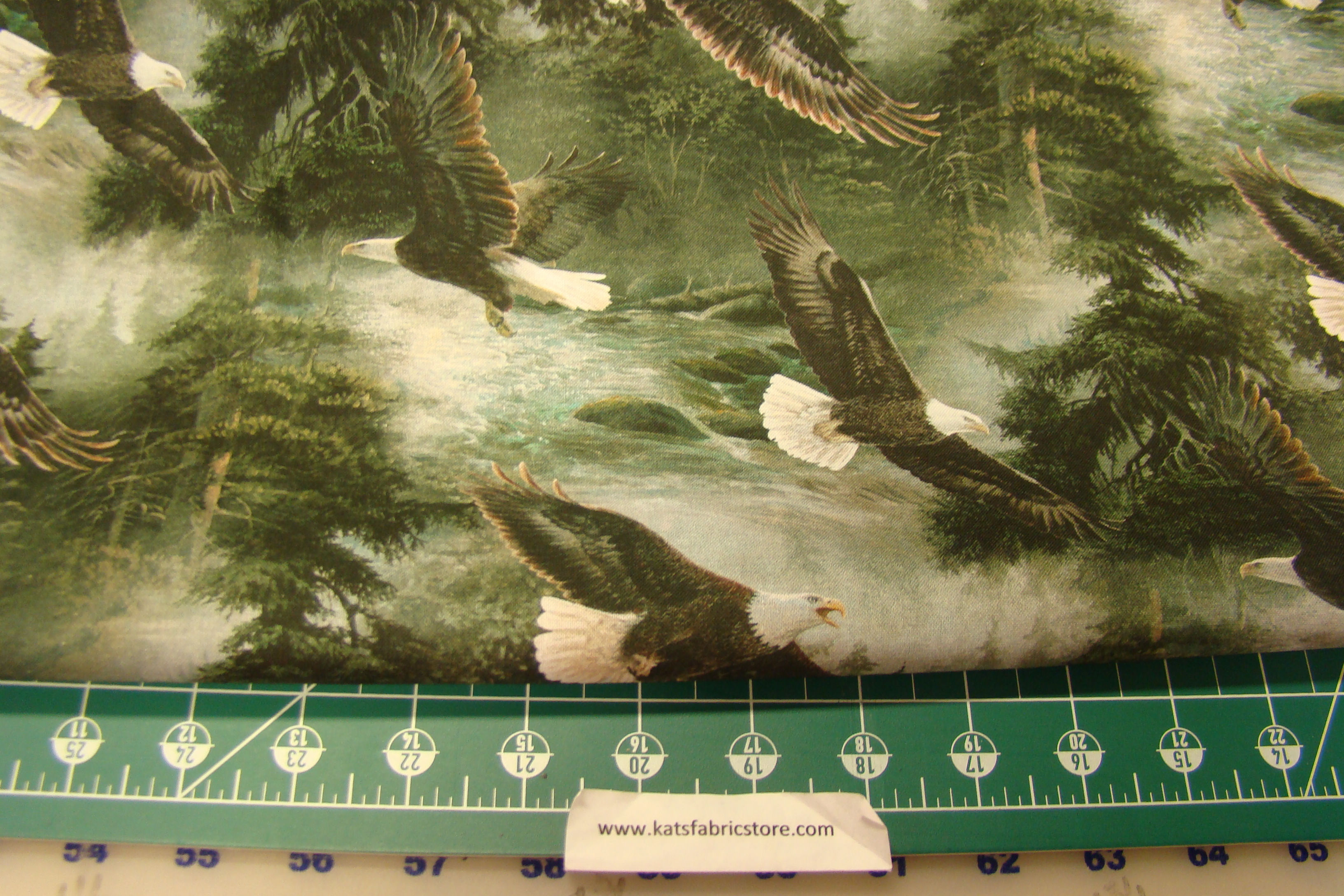 SC All Surveys Scenic Multi