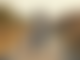 She’s Watching You: What Military Children Learn From a Regulated Mother