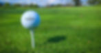 GRYP Golf Outing Lunch Sponsorship