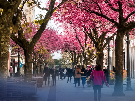 Como é morar no Centro de Curitiba na primavera? Veja o que aproveitar na cidade