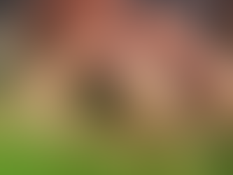 Março Verde: a importância da prevenção de doenças oculares