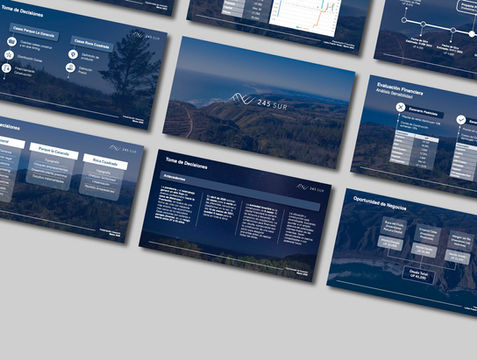 Diseño de página web y presentación corporativa para 245 Sur