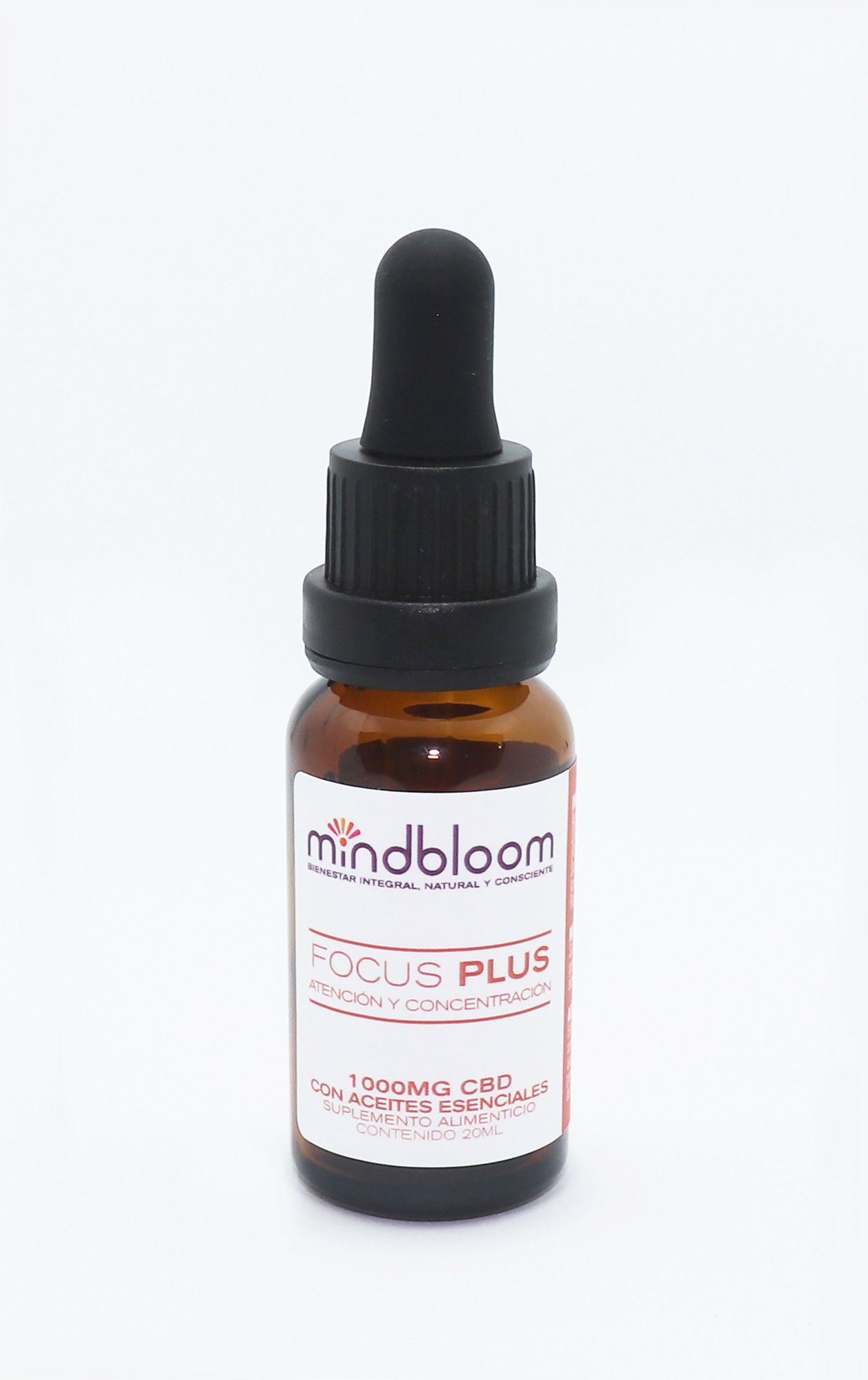 FOCUS PLUS
