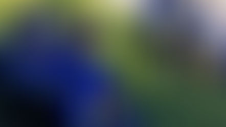 Tavoiteleiripäivä 20.11.