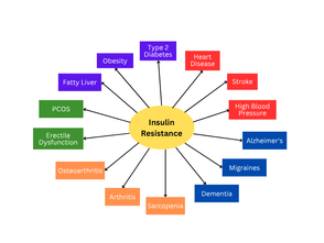 The Insulin Resistance-Chronic Disease Connection