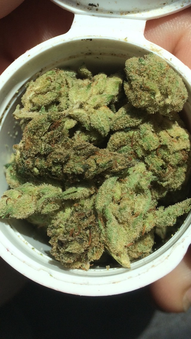 Gorilla glue