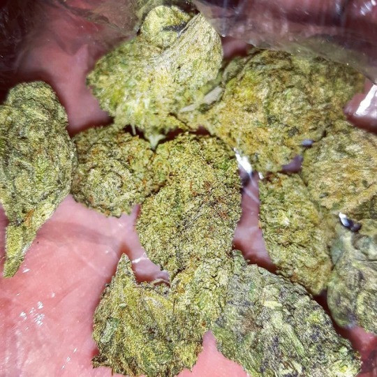 marijuana ,kush ,weed,420 for sale