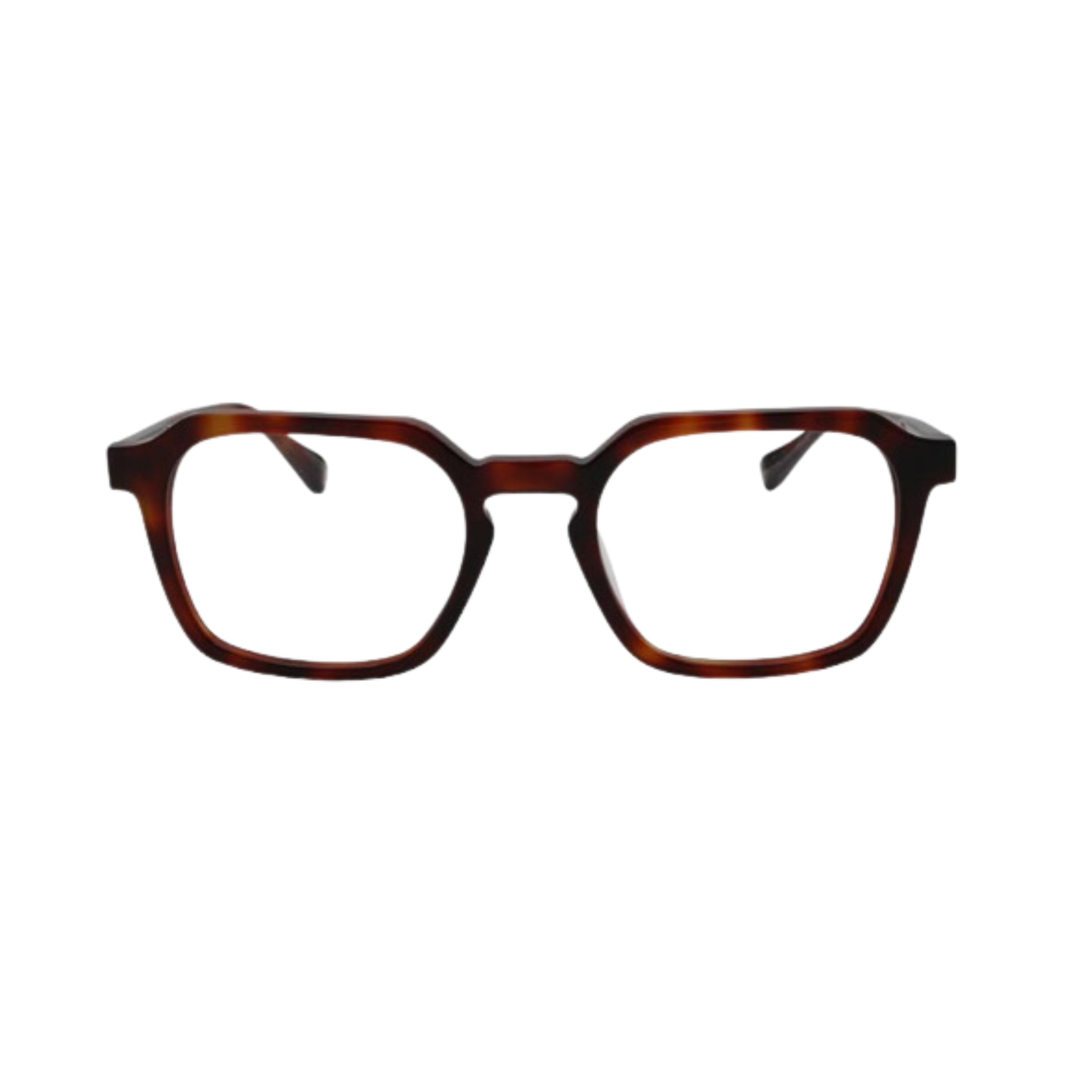 FRANÇOIS PINTON - HAUSSMANN10