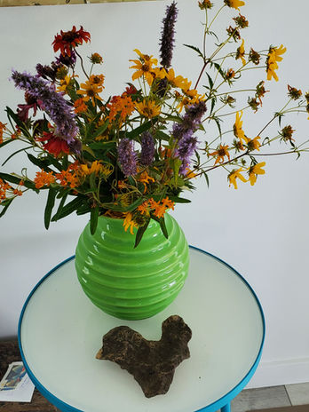 Rabinowitz prarie flowers, found heart rock.jpg