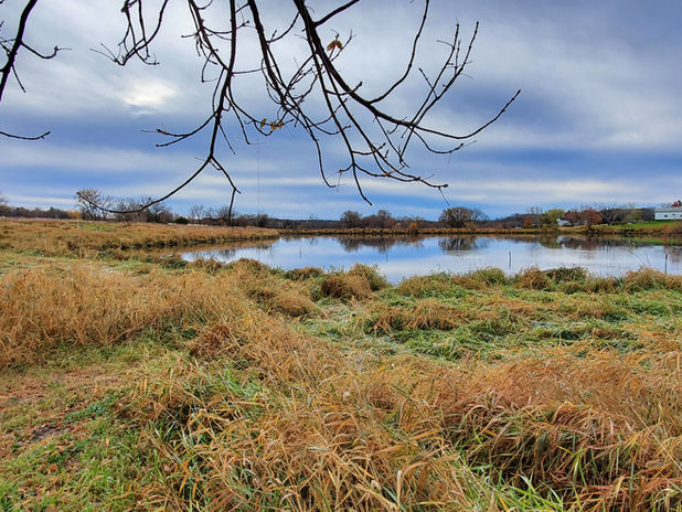 Rabinowitz pond view.jpg