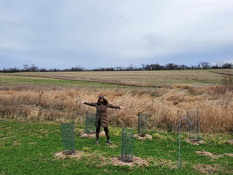 Rabinowitz 300 trees, grassed waterways and no till oats cover crop soybean farm