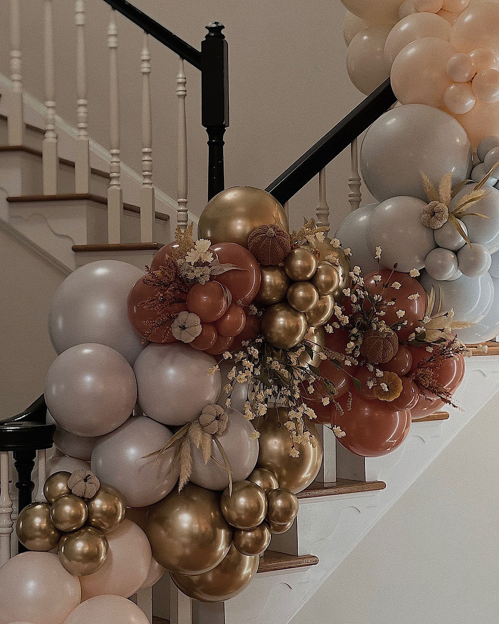 1DE0D1EC-0D41-4C2D-B2AB-45CFEC95268F