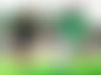 Fort Wayne Wins 3-0 in USL League One Match
