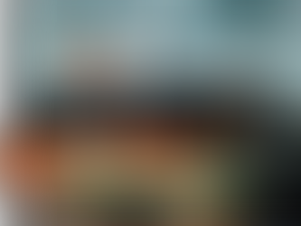 Cobertura ¿solo un indicador para cumplir expectativa?