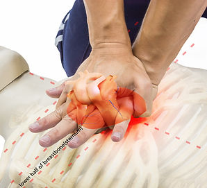 cpr training man use hand compression point lower half of breastbone.jpg