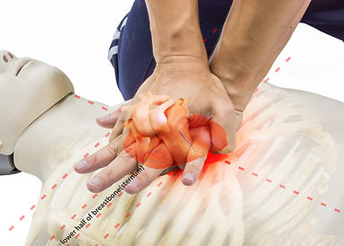 cpr training man use hand compression point lower half of breastbone.jpg