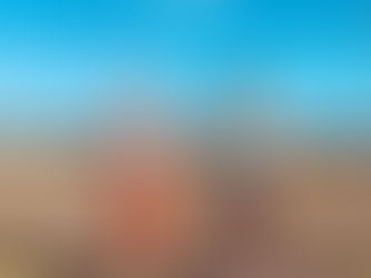 What to EAT during a Long Run!