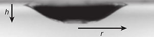 Bubble spreading 2.png