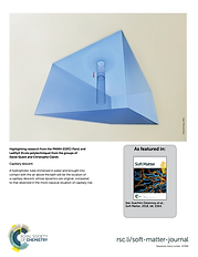 Capillary descent_back cover.png