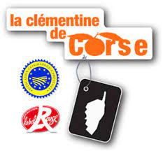 CLEMENTINE CORSE (1KG )