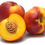 Miniature : PROMO NECTARINE JAUNE OU BLANCHE  OU PLATE  (2 KG)