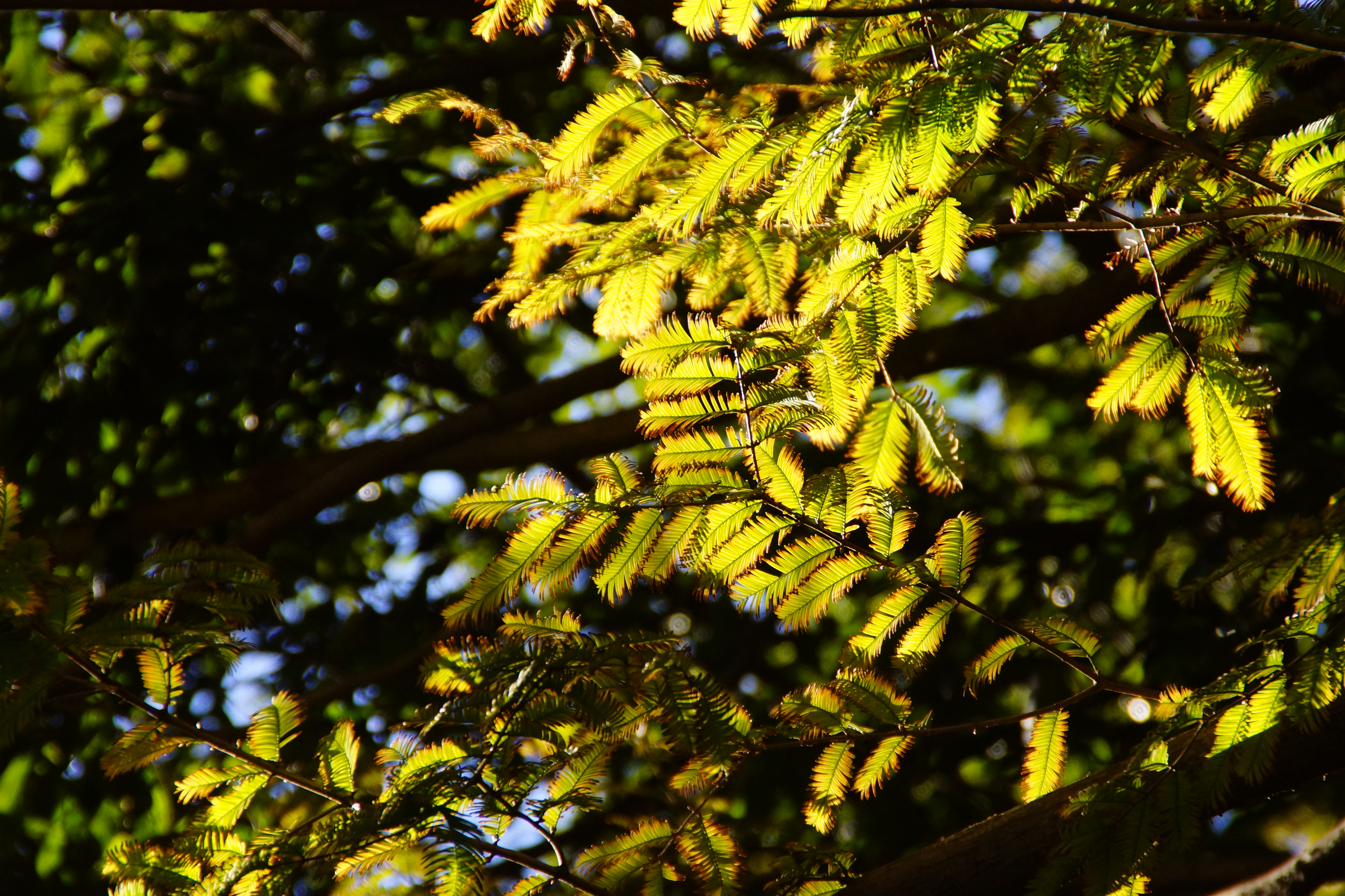 DSC01906