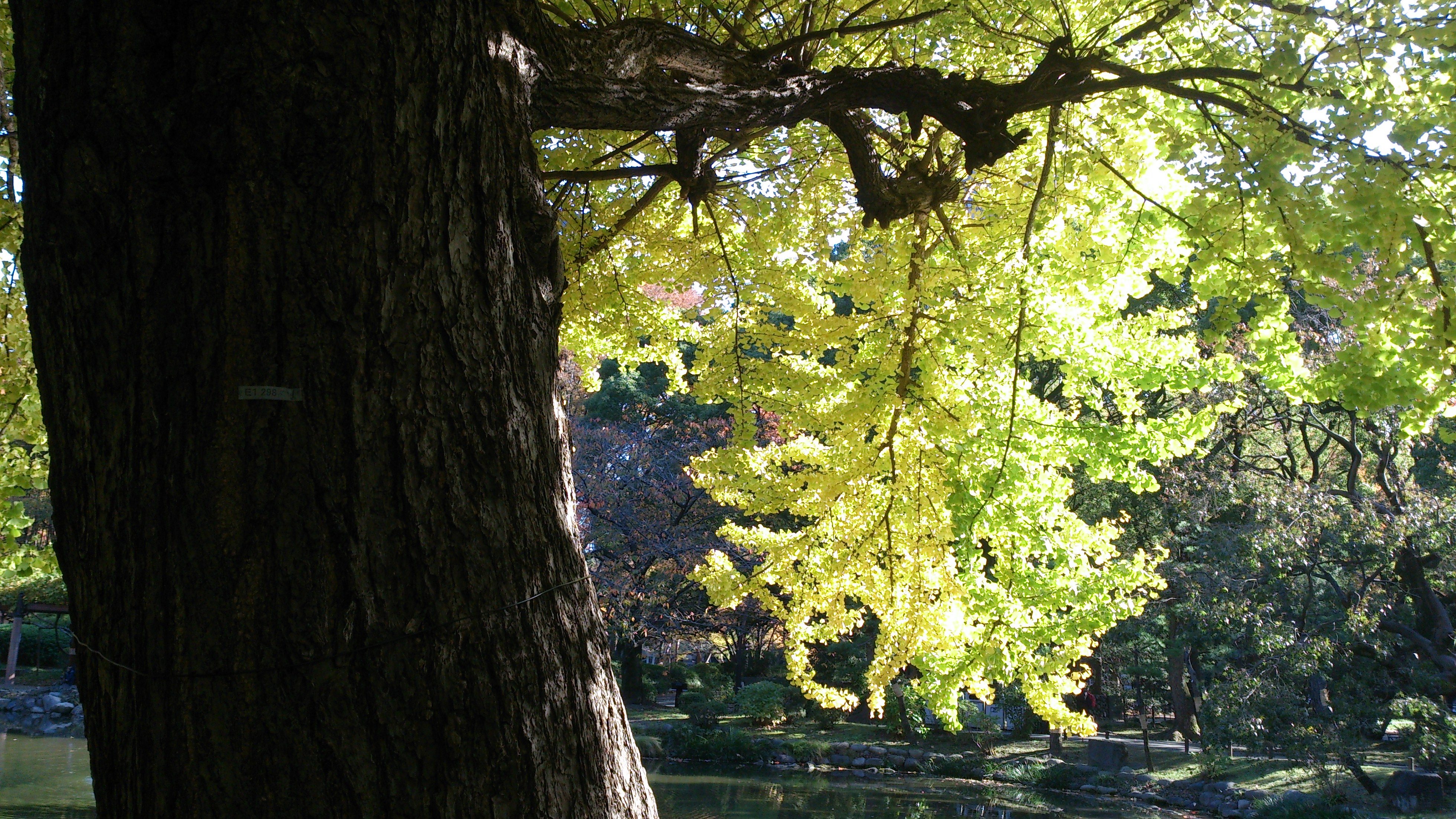 日比谷公園