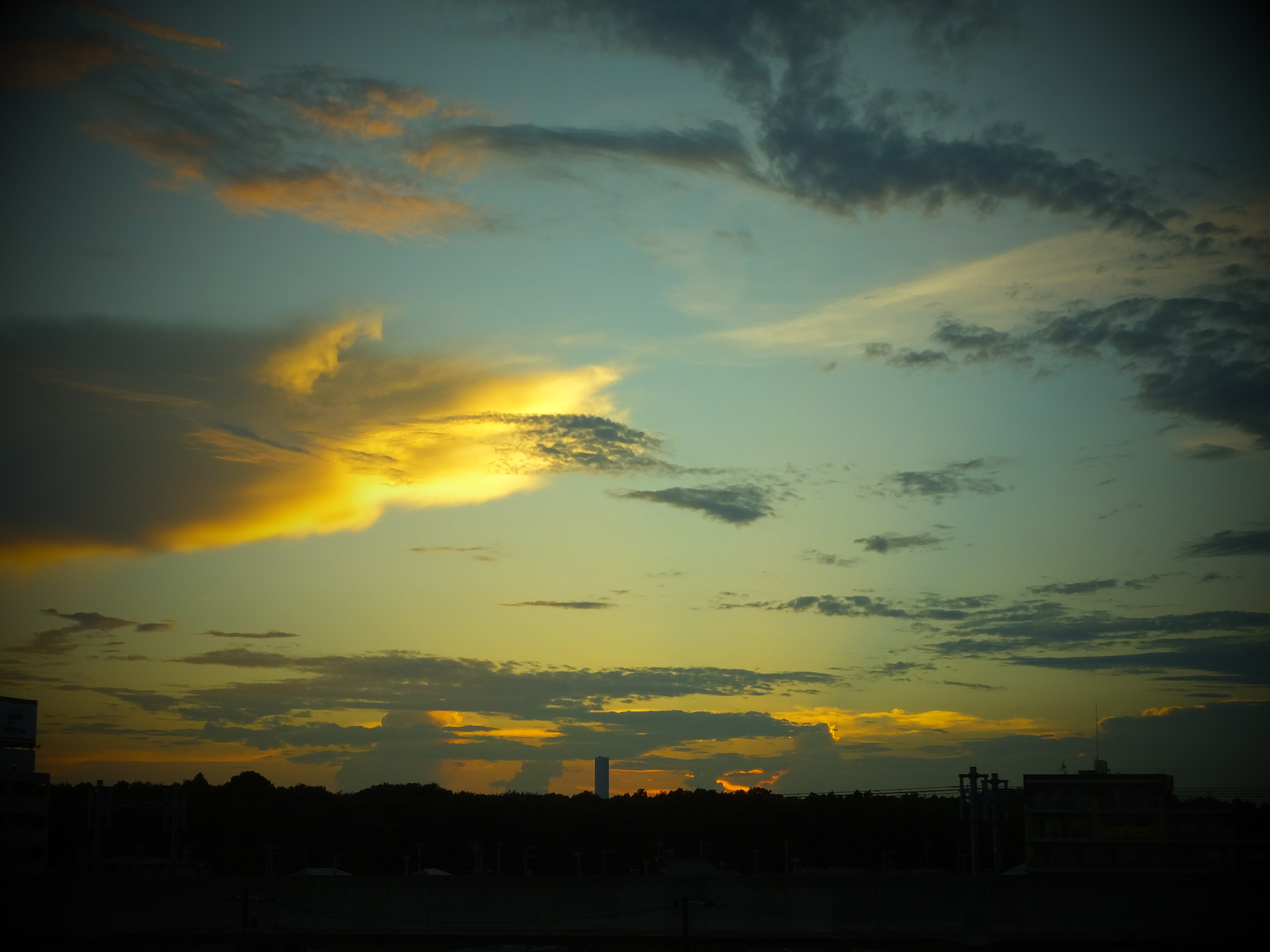 DSCF1896