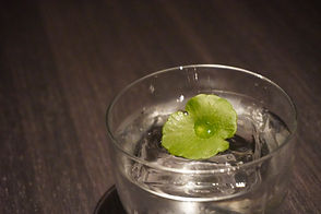 Cocktail #9.jpeg