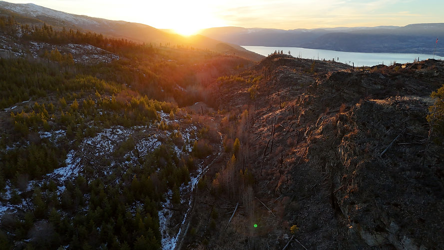 DJI_20260228172948_0022_D.JPG