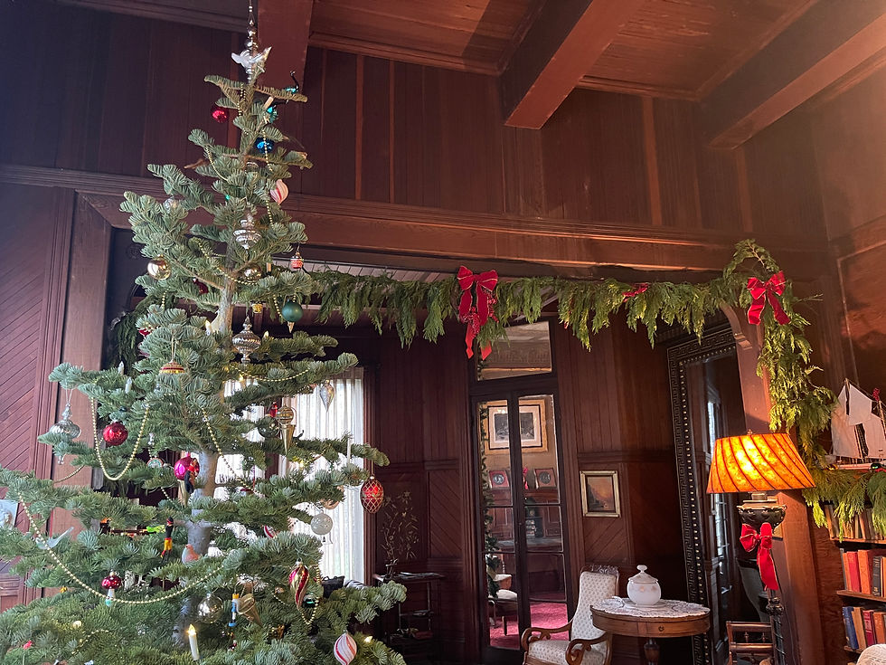 Decorated Holiday Tour 12/19/26