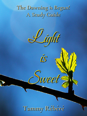 Light Is Sweet Cover - Working3.png
