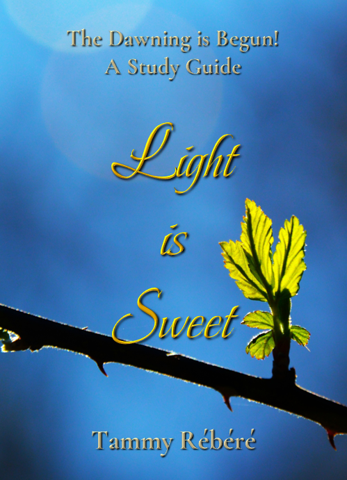 Light Is Sweet Cover
