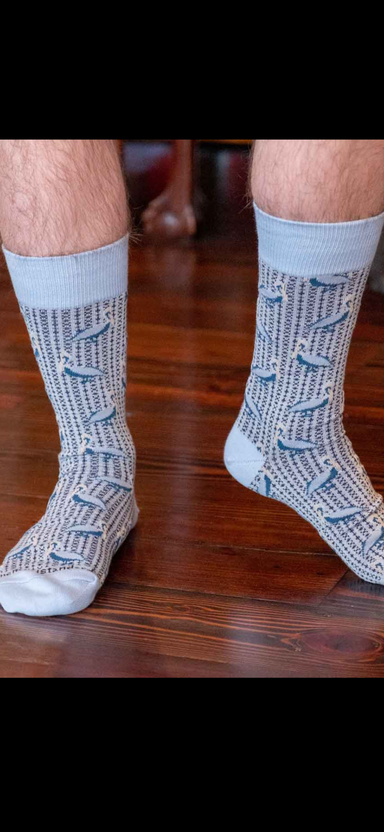 Men’s pelican socks 