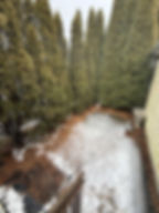 80413983.jpg