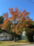 St. Thomas University