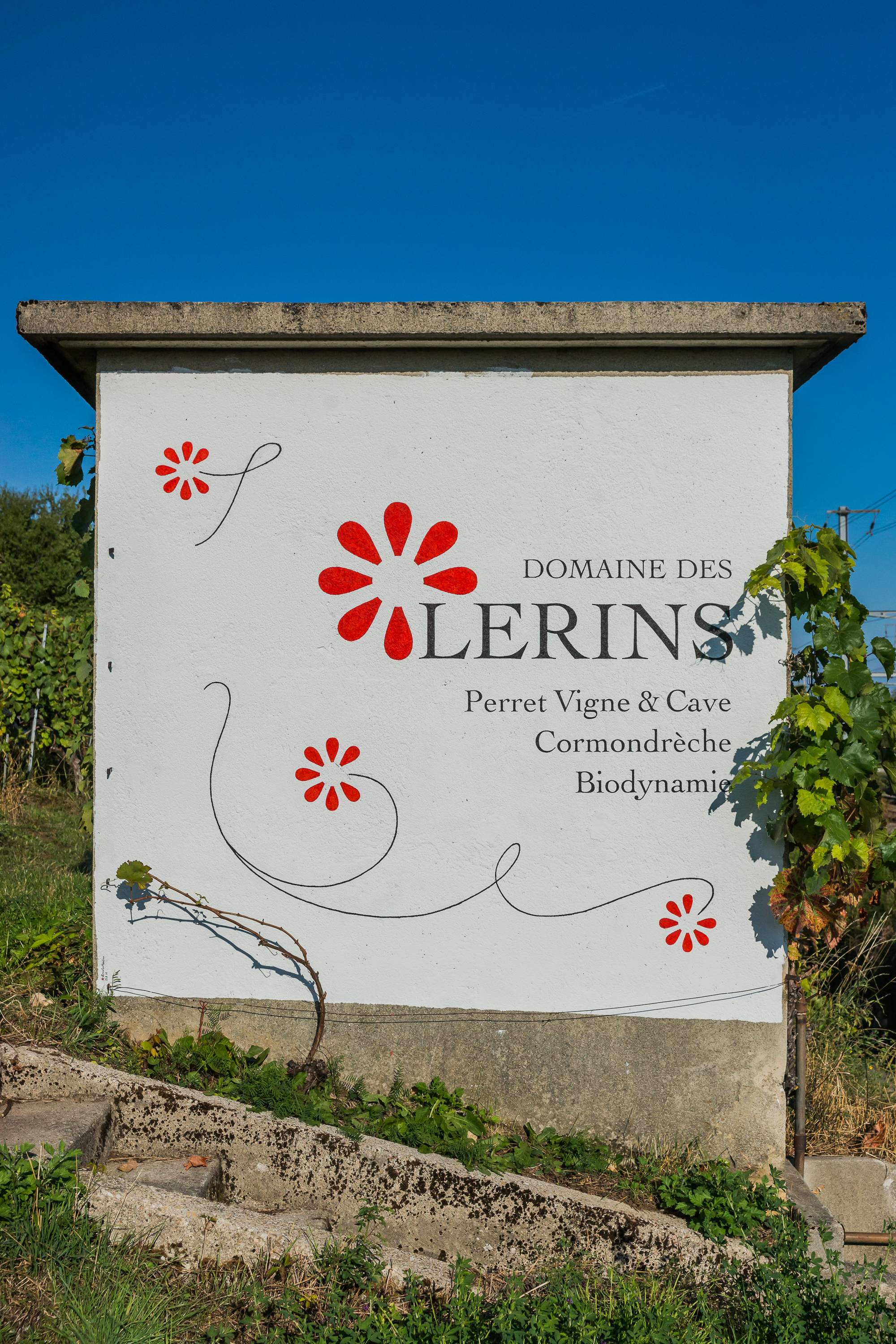 Cabane vigne avec logo