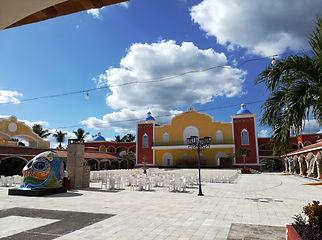 IMG_20171104_143538.jpg