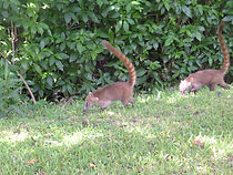 DSCF9064.JPG